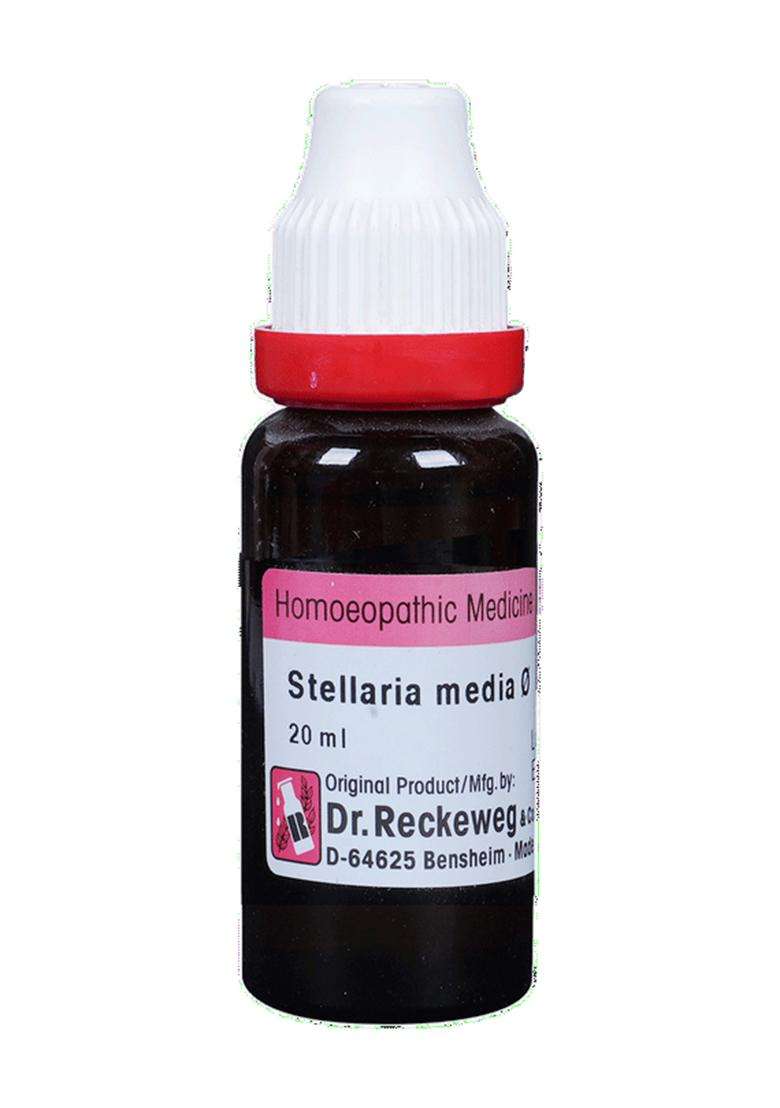 Dr Reckeweg Stellaria Media Mother Tincture - Indya