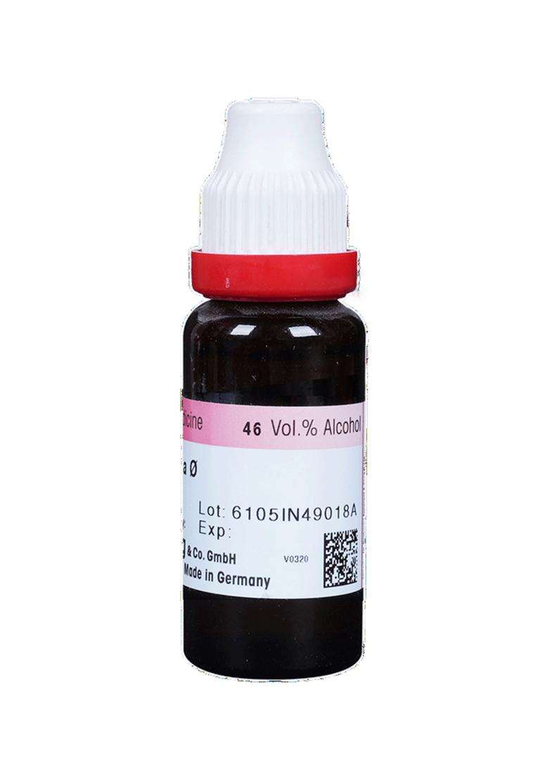 Dr Reckeweg Stellaria Media Mother Tincture - Indya
