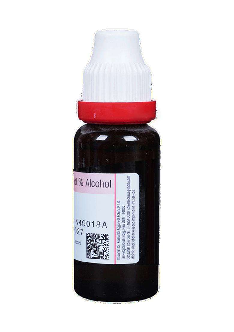 Dr Reckeweg Stellaria Media Mother Tincture - Indya
