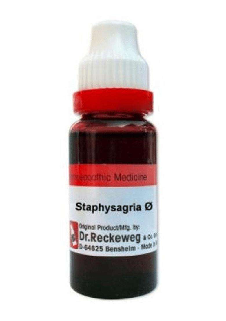 Dr Reckeweg Staphysagria Mother Tincture - Indya