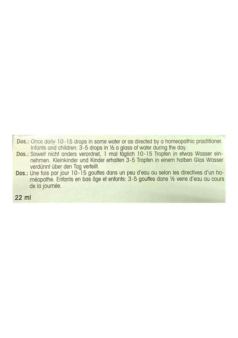 Dr Reckeweg R33 Epilepsy Drop - Indya