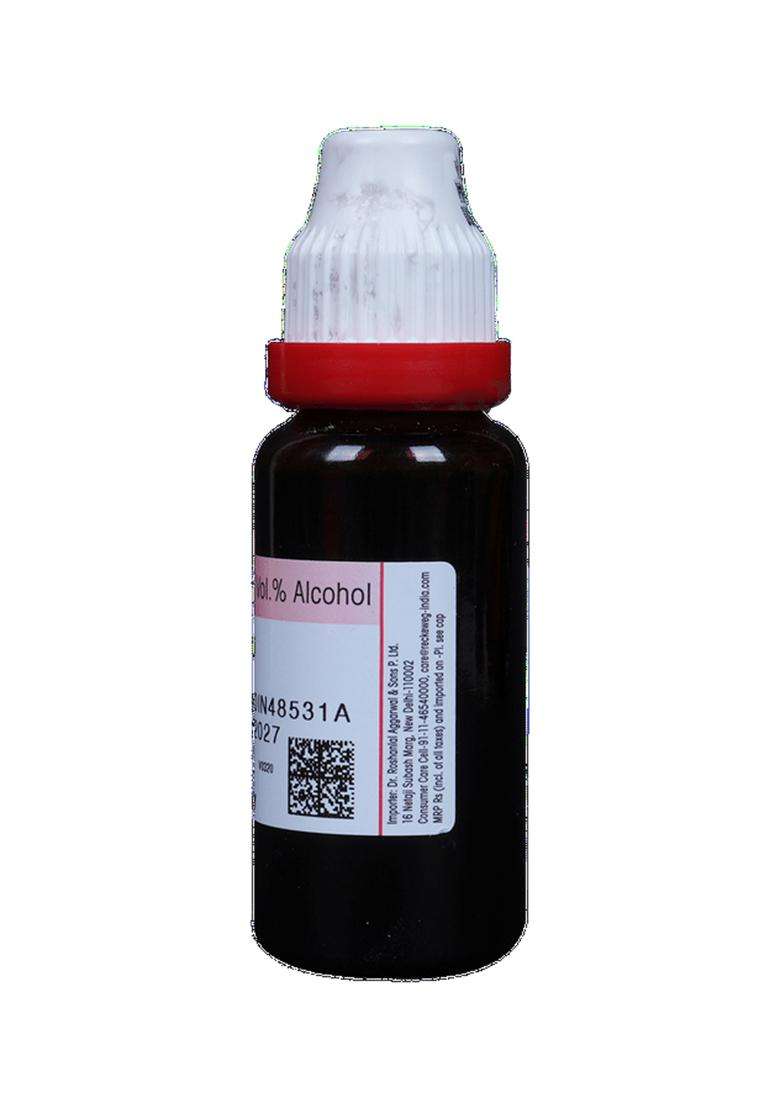 Dr Reckeweg Echinacea Ang Mother Tincture - Indya