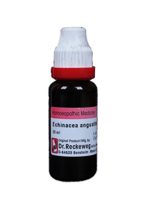 Dr Reckeweg Echinacea Ang Mother Tincture Q