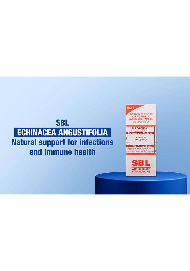SBL echinacea angustifolia 1127 (20GM) - Indya