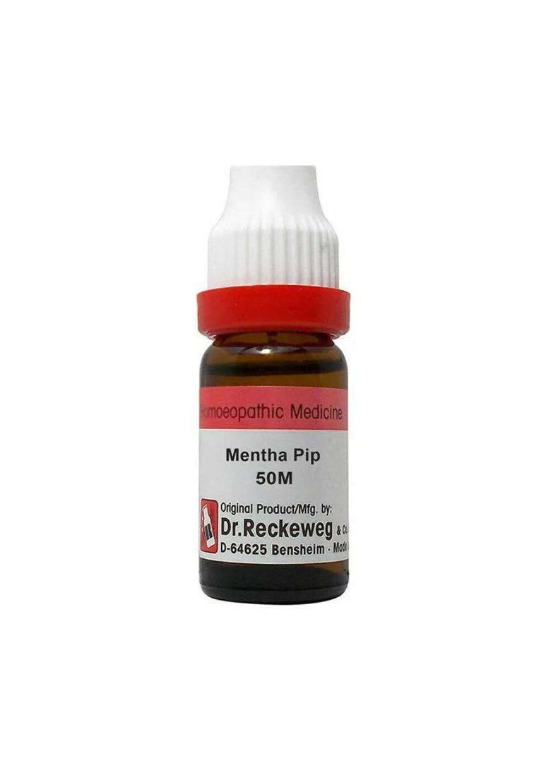 Dr. Reckeweg Mentha Pip Dilution|Pack Of 1| - Indya