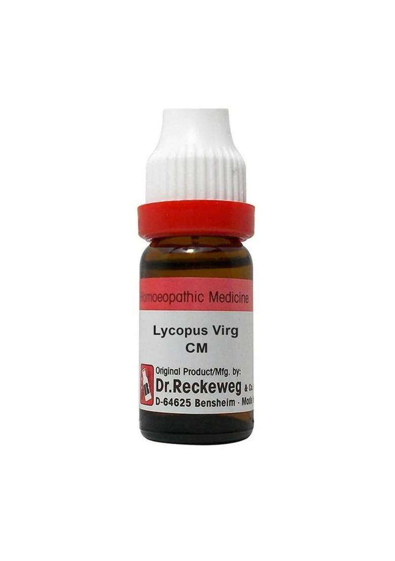Dr. Reckeweg Lycopus Virg Dilution|Pack Of 1| - Indya