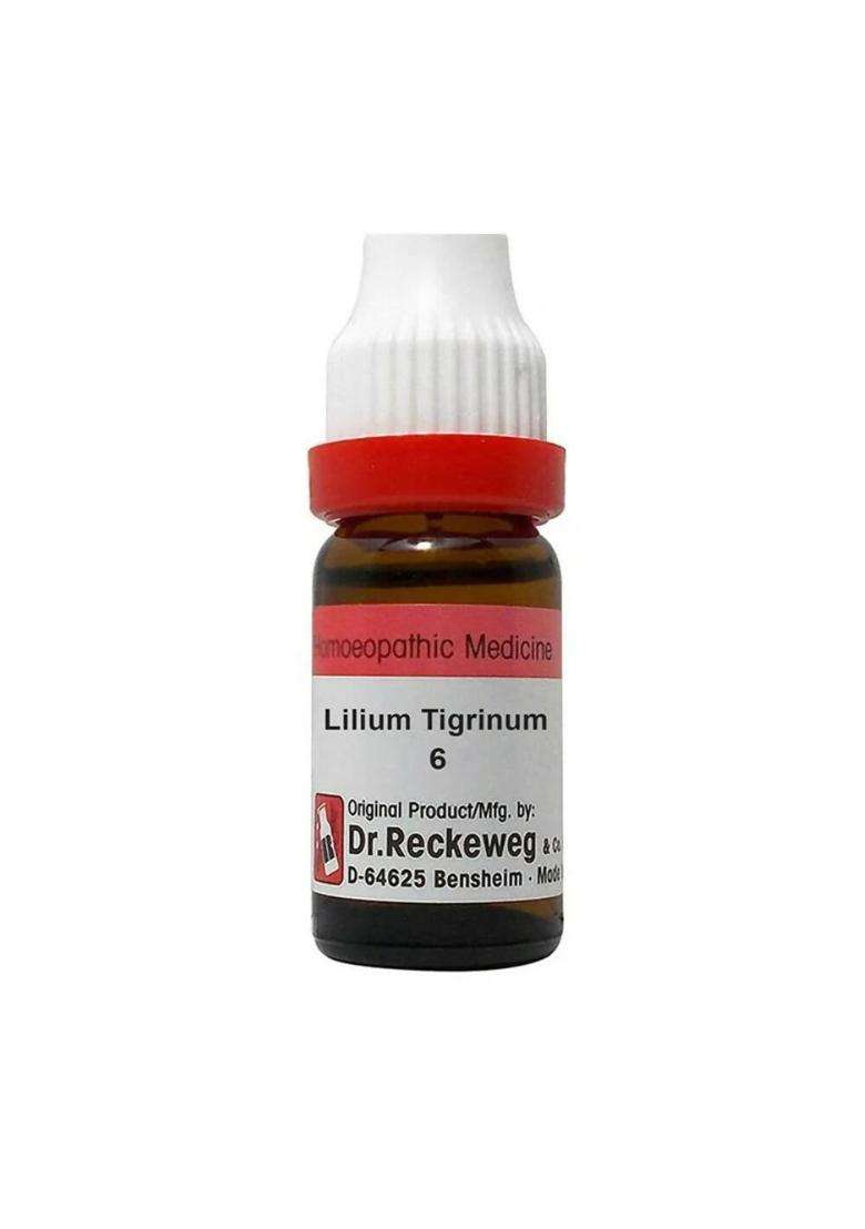 Dr. Reckeweg Lilium Tigrinum Dilution|Pack Of 1| - Indya