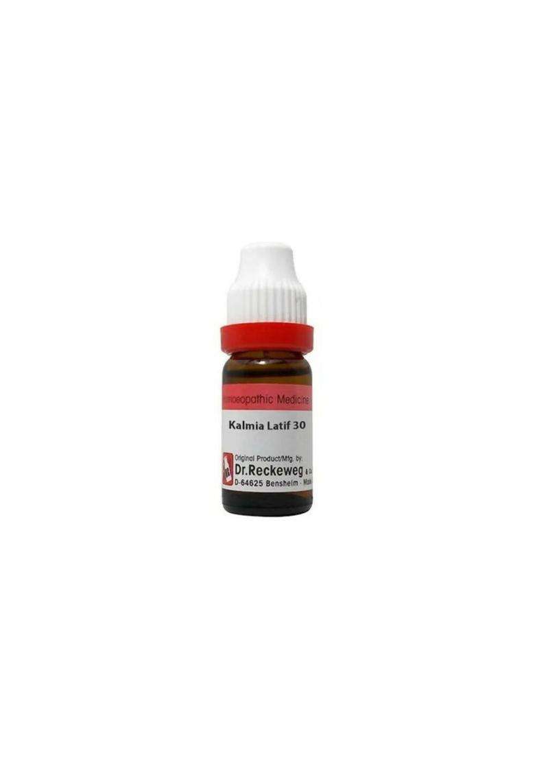 Dr. Reckeweg Kalmia Latif Dilution|Pack Of 1| - Indya