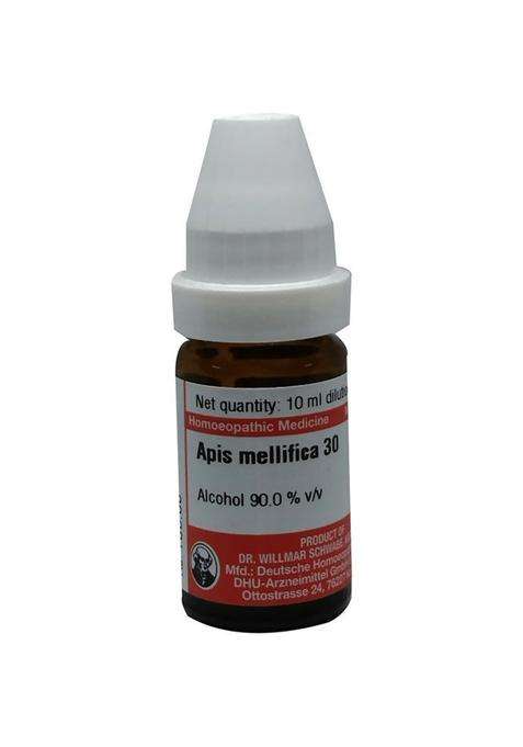 Dr. Willmar Schwabe Germany Apis mellifica Dilution|Pack Of 1|