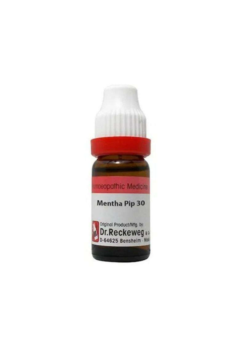 Dr. Reckeweg Mentha Pip Dilution|Pack Of 3| - Indya