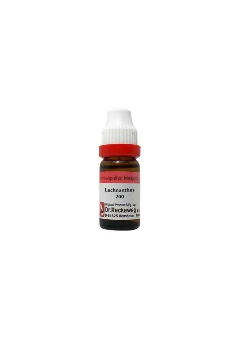 Dr. Reckeweg Lachnanthes Dilution|Pack Of 3| - Indya