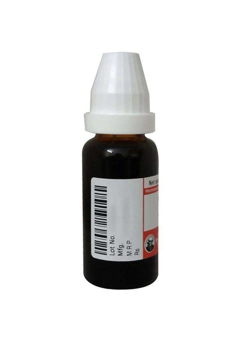 Dr. Willmar Schwabe Germany Phytolacca Dilution|Pack Of 3| - Indya