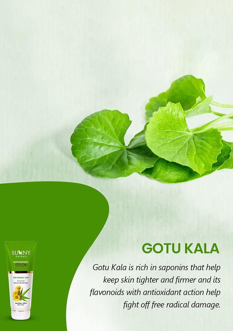 Sunny Herbals Moisturizing Lotion With Aloevera Calendula 100 Ml
