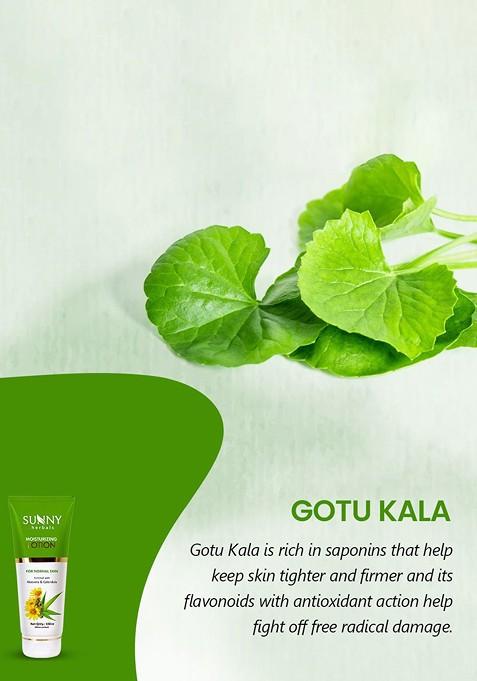 Sunny Herbals Moisturizing Lotion With Aloevera Calendula 100 Ml