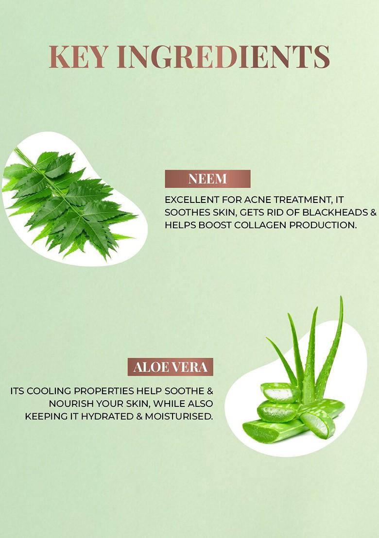 Just Herbs Neem Aloe Vera Plant Salicylic Acid Foaming Face Wash 100Ml