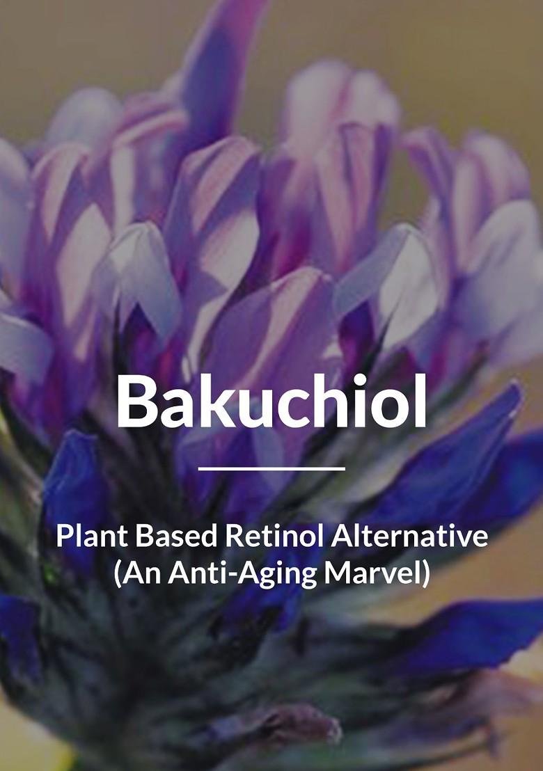 Lotus Botanicals Bio Retinol Anti Ageing Youth Radiance Face Wash 100Ml