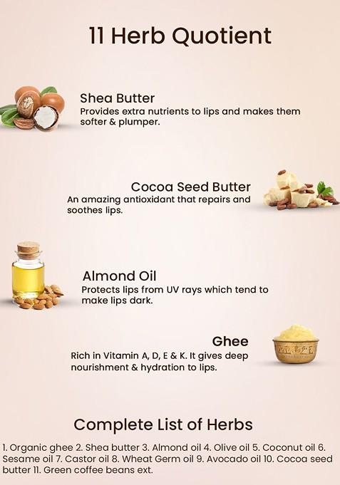 Blue Nectar Shubhr Coffee Lip Balm With Ghee For Dryness Lips Brightening 15 G