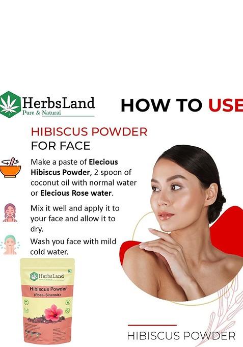 Herbsland Set Of 2 Hibiscus Powder For Hair Skin 100 G Each