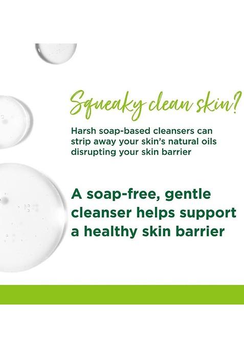 Elecsera Neem Foaming Face Wash For Pimple Control 50 Ml