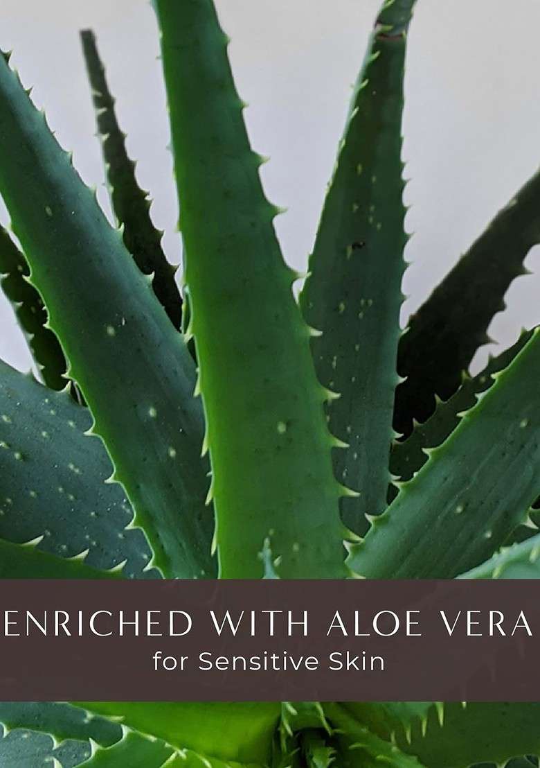 Honeybee Aloe Vera Facial Wax Strips 12 2 Post Wipes - Indya