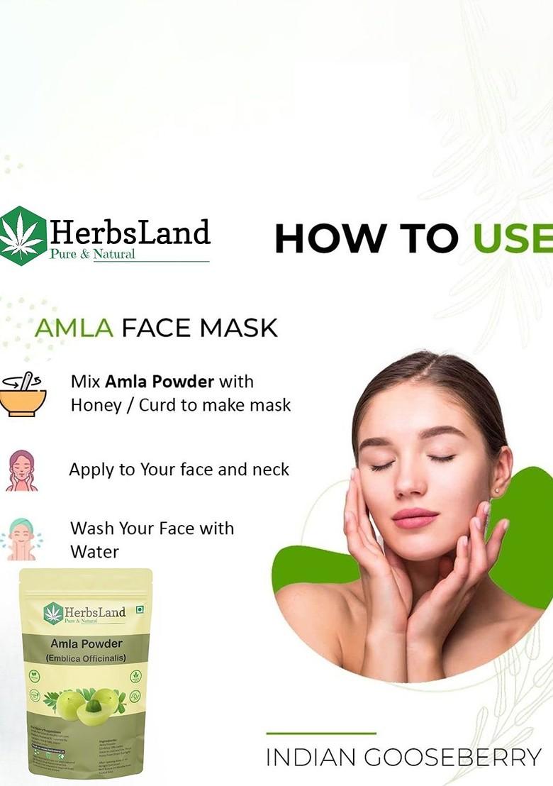 Herbsland Set Of 3 Amla Powder For Hair Skin 100 G Each