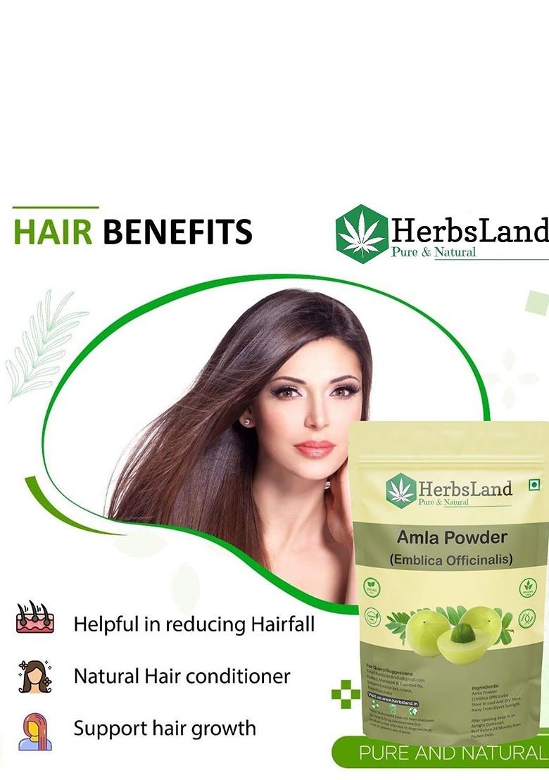 Herbsland Set Of 3 Amla Powder For Hair Skin 100 G Each