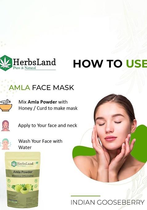 Herbsland Set Of 3 Amla Powder For Hair Skin 100 G Each