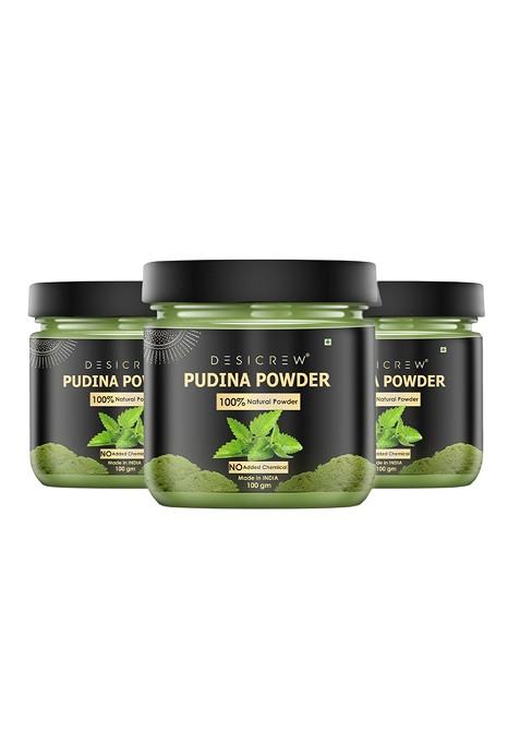 Desi Crew Set Of 3 Pudhina Powder Mask 100 G Each