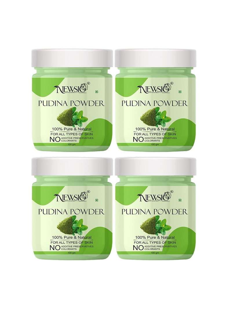 Newsio Set Of 4 Pure Natural Pudina Powder For Skin Hair 100G Each - Indya