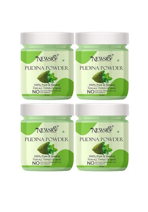 Newsio Set Of 4 Pure Natural Pudina Powder For Skin Hair 100G Each