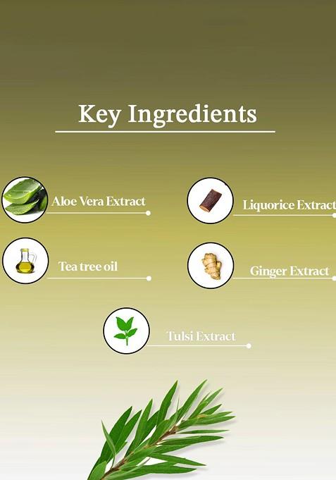 Aya Set Of 2 Australian Teatree Vitamin C Face Mask 120 G Each