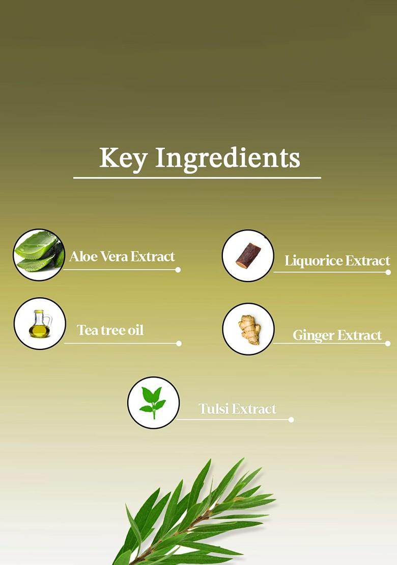 Aya Set Of 2 Papaya Tea Tree Face Mask 120 G Each