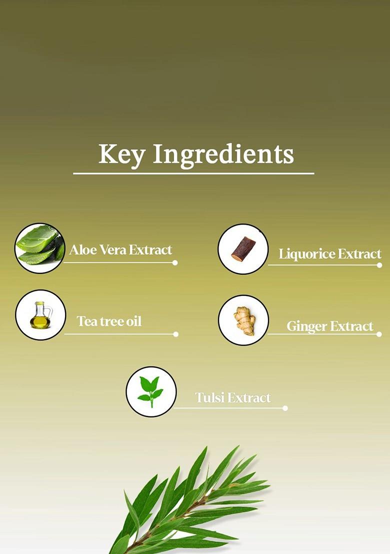 Aya Set Of 2 Paraben Free Face Masks Australian Tea Tree Rose Hip 120G Each