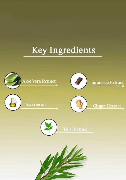 Aya Set Of 2 Paraben Free Face Masks Australian Tea Tree Rose Hip 120G Each