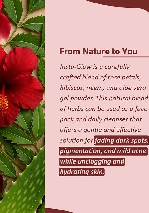 Minature Insta Glow Face Pack Powder For Brightening 100 G