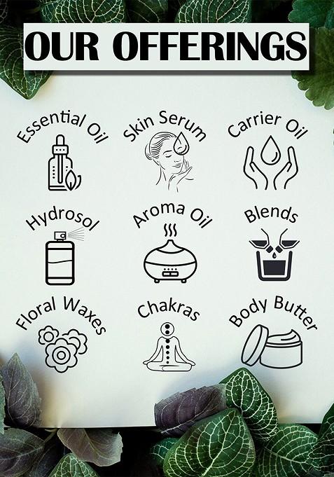 Deve Herbes Natural Therapeutic Grade Pure Rose Water Hydrosol Toner 100 Ml