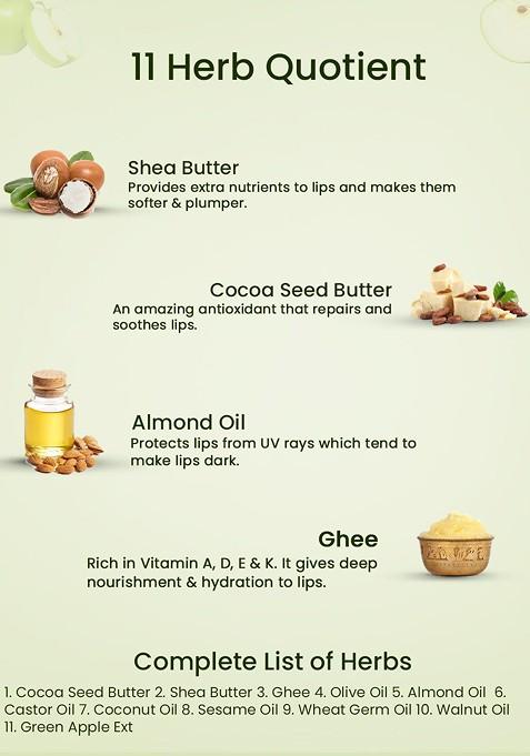 Blue Nectar Shubhr Green Apple Lip Balm With Ghee Natural Vitamin C For Dry Chapped Lips