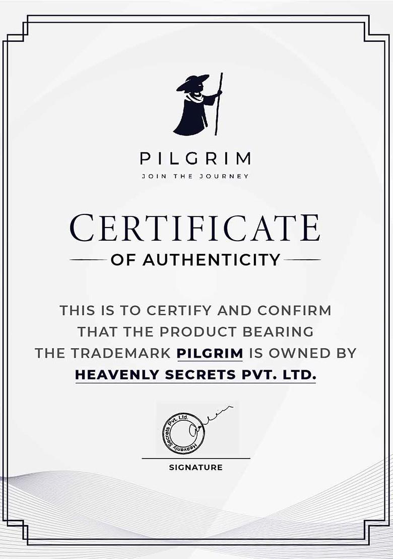 Pilgrim Salicylic Bha Glycolic Acid Aha Foaming Face Wash For Acne Prone Skin