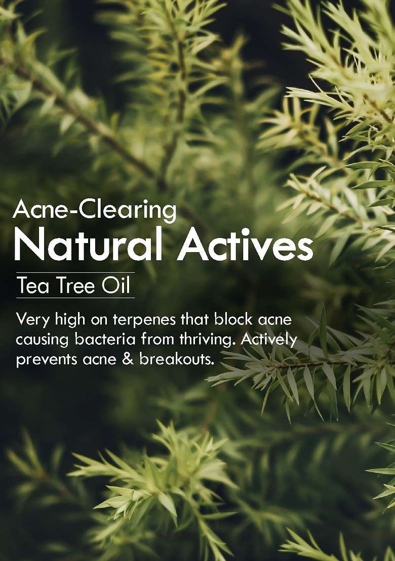 Nat Habit Bitter Neem Gel Natural Face Wash For Oily Skin Acne Pimple Control 100G - Indya