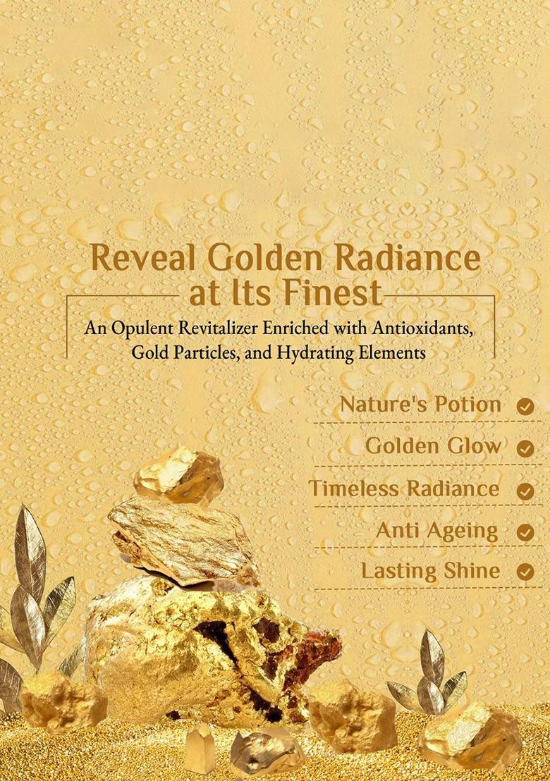 Richfeel 5 Step Gold Facial Kit 30 G