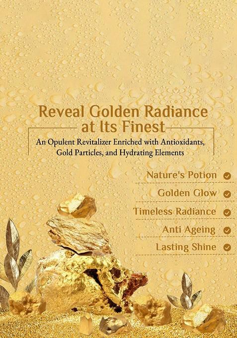 Richfeel 5 Step Gold Facial Kit 30 G