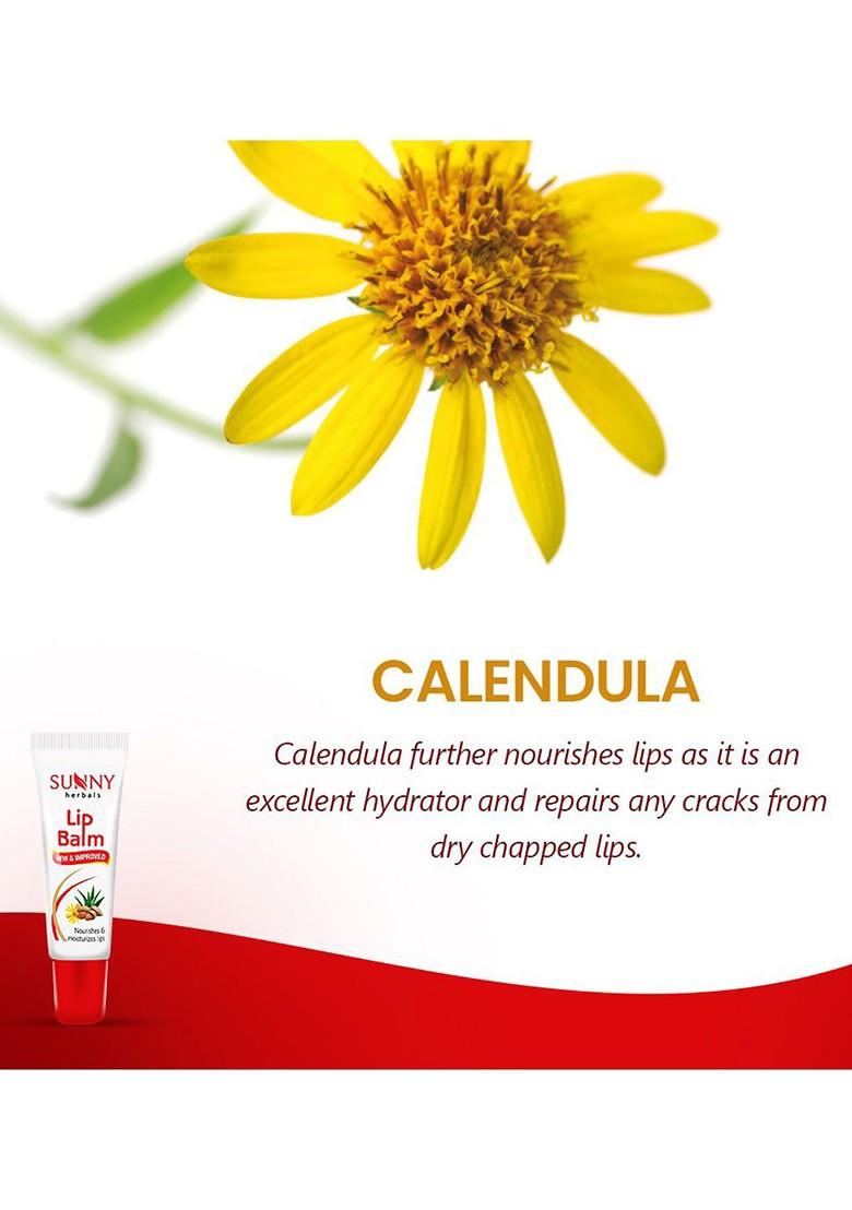 Sunny Herbals Set Of 4 Moisturising Lip Balm With Almond Oil 10 G Each