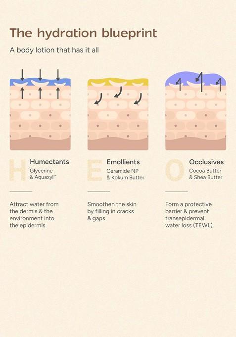 Arata Ceramide Body Lotion With Cocoa Butter For Barrier Repair Nourishment 200 Ml