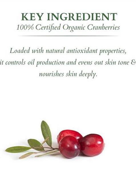 Lotus Organics Cranberry Ultra Matte Spf 40 Tinted Mineral Sunscreen 100G