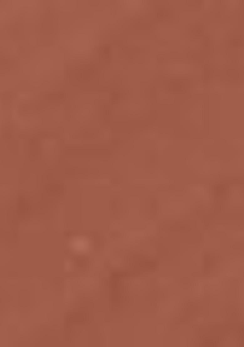 Coloressence Roseate Omk Non Transfer Liquid Lip Color 6Ml Brown Butter