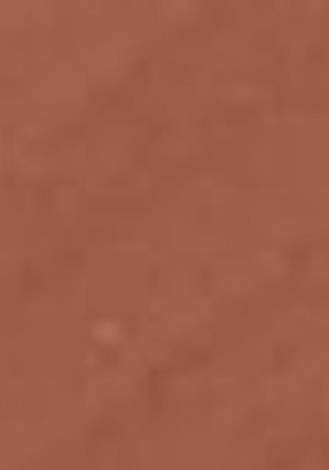 Coloressence Roseate Omk Non Transfer Liquid Lip Color 6Ml Brown Butter