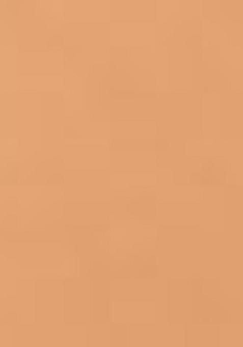 Lakme Forever Matte Lightweight Foundation With Vit E For Superior Coverage 27Ml Marble