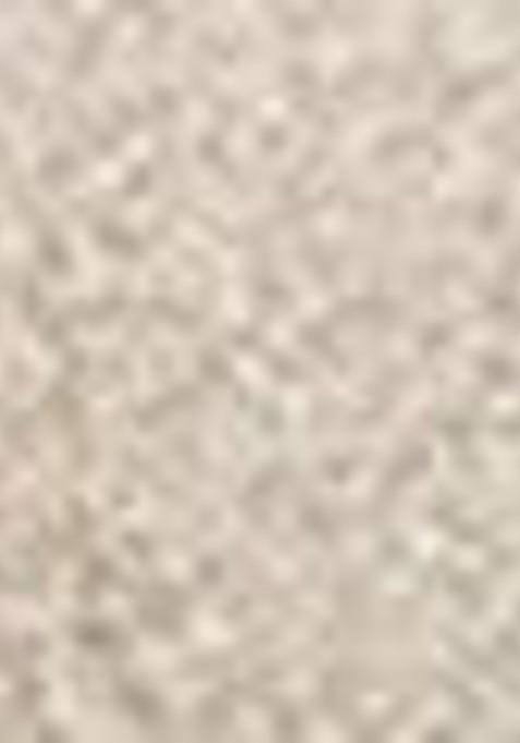 Hyue Chrome Glazed Nail Paint Icy Silver Quick Dry And Chip Resistant With Jojobal Oil