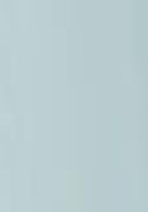 Insight Cosmetics 5 Toxic Free Long Lasting Pastel Color Nail Polish Shade 28