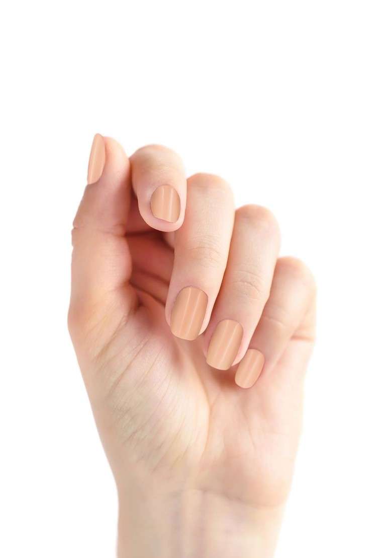 Renee Set Of 24 Stick On Nails Bn 02 - Indya